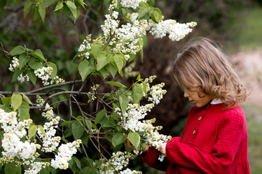 Similar image 22012113