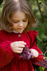 Similar image 22012115