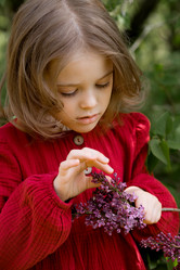 Similar image 22012118