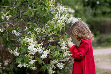 Similar image 22012119