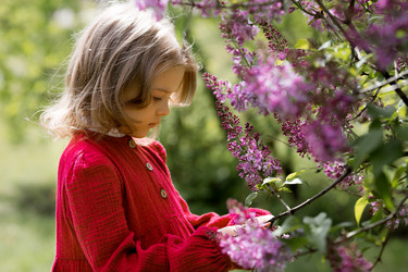 Similar image 22012121