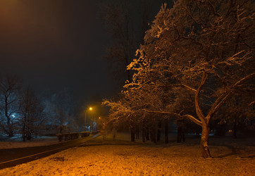 Similar image 22008693