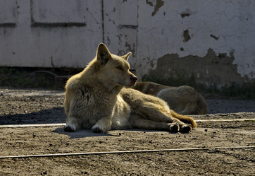 Similar image 22014528