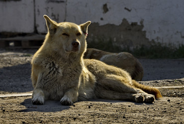 Similar image 22014529