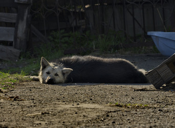 Similar image 22014530