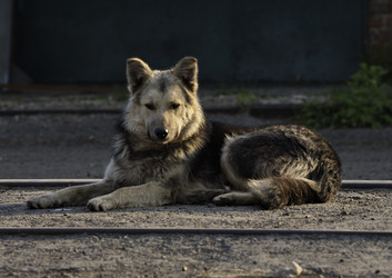 Similar image 22014531