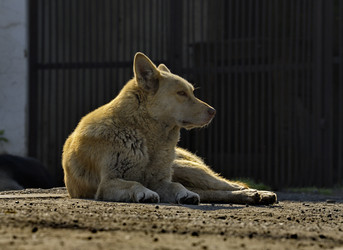 Similar image 22014532