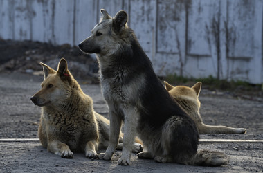 Similar image 22014533