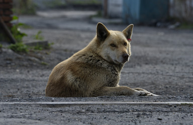 Similar image 22014534