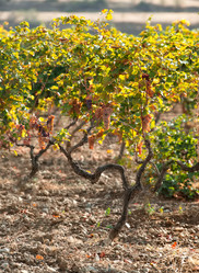 Similar image 22008694