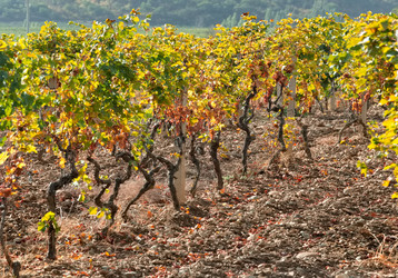 Similar image 22008695