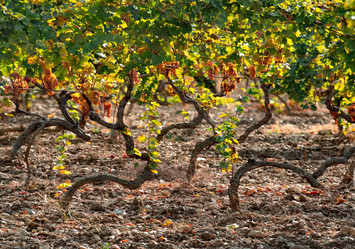 Similar image 22008698