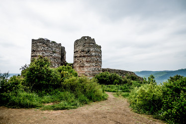 Similar image 22016419