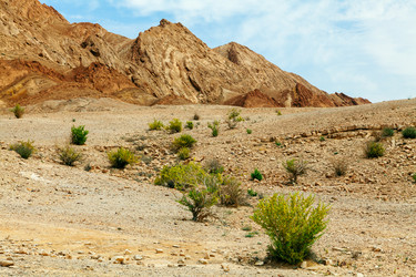 Similar image 22013178