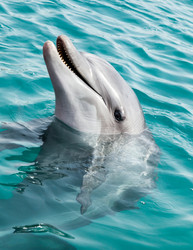 Similar image 22013194