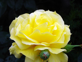 Similar image 22009248