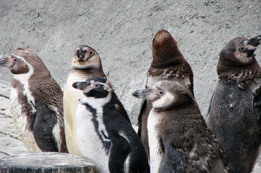 Similar image 22009251