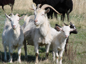 Similar image 22009261