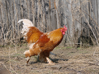 Similar image 22009262