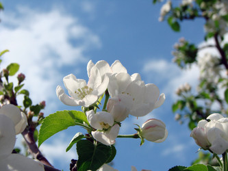 Similar image 22009263