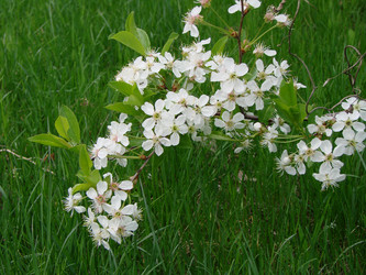 Similar image 22009264