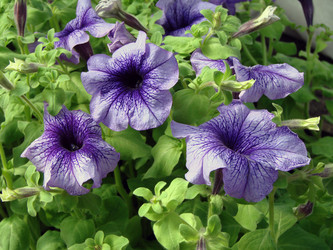 Similar image 22009265