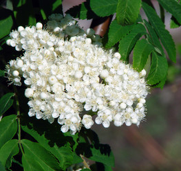 Similar image 22009267