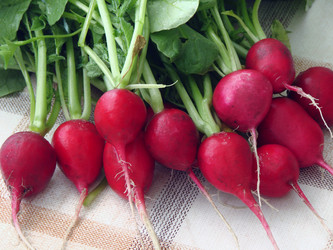 Similar image 22009272