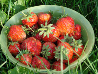 Similar image 22009273