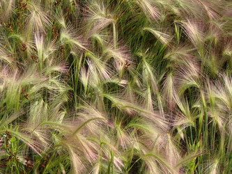 Similar image 22009274