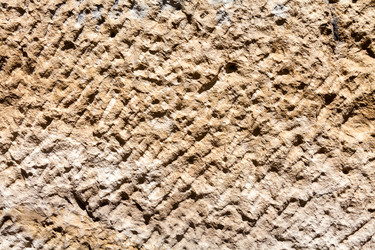 Similar image 22013201