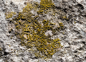 Similar image 22013205