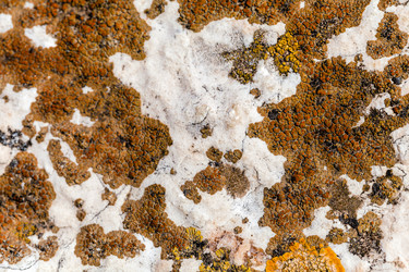 Similar image 22013206