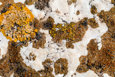 Similar image 22013207