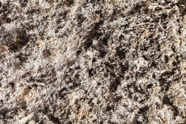 Similar image 22013209