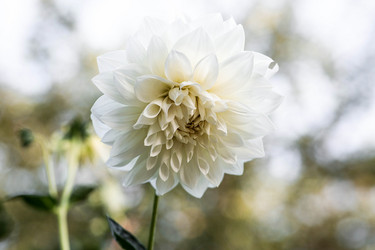 Similar image 22012135