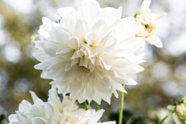 Similar image 22012136