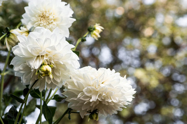 Similar image 22012137