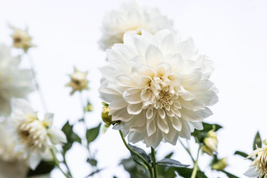 Similar image 22012138