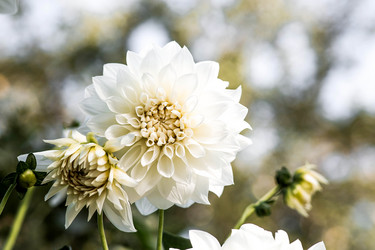 Similar image 22012139