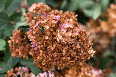 Similar image 22012163