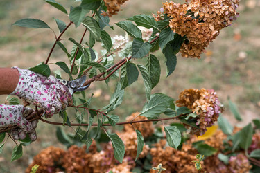 Similar image 22012164