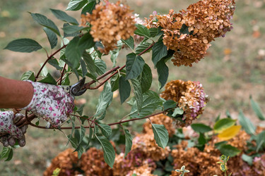 Similar image 22012176