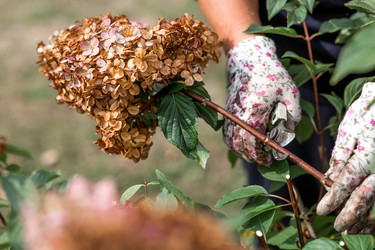 Similar image 22012180