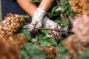 Similar image 22012182