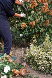 Similar image 22012183