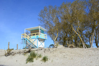 Similar image 22015078