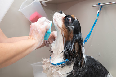 Similar image 22011857