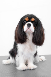 Similar image 22011861