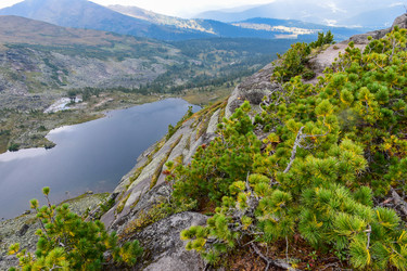 Similar image 22008718